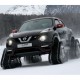 Juke YF15 (2010-2018)